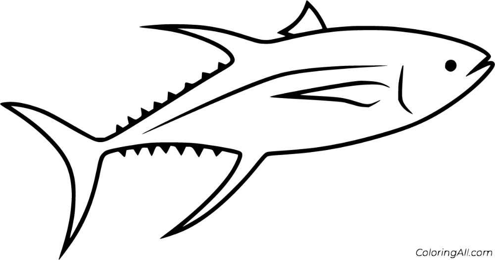 Free printable tuna coloring pages in vector format easy to print from any device and automatically fit any â fish outline coloring pages fish coloring page