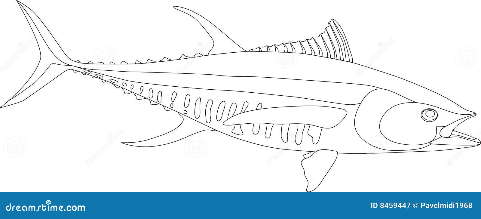 Tuna stock vector illustration of drawing line blue