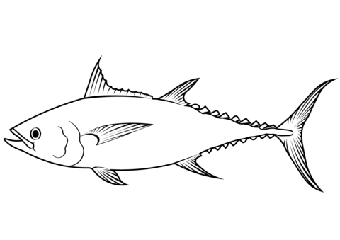 Tuna coloring pages free coloring pages