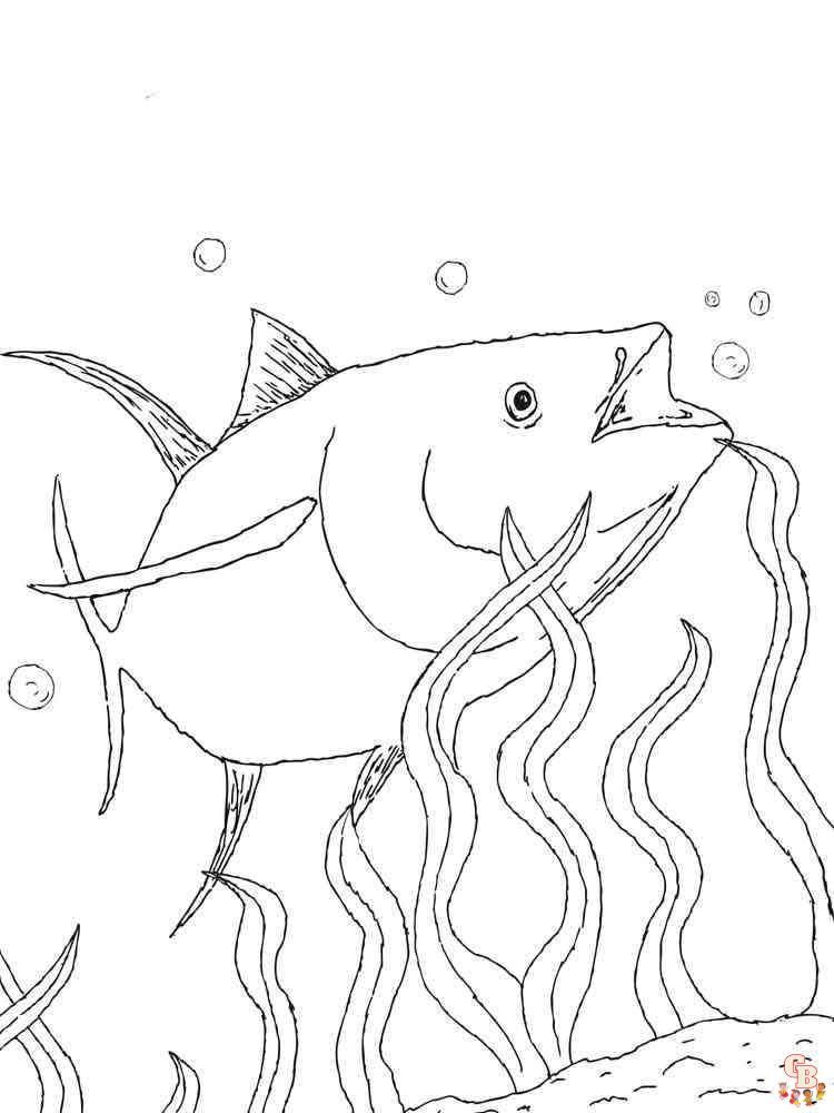 Dive into the ocean world with tuna fish coloring pages
