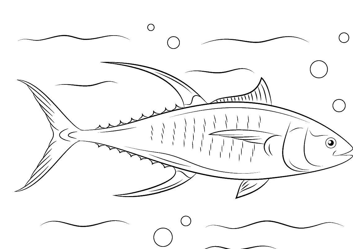Online coloring pages coloring ðñððµñ ððð ððððð ñðñðºñðñðºð download print coloring page