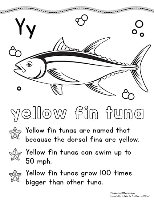 Ocean animal coloring pages