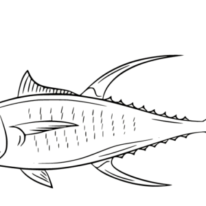 Tuna coloring pages printable for free download