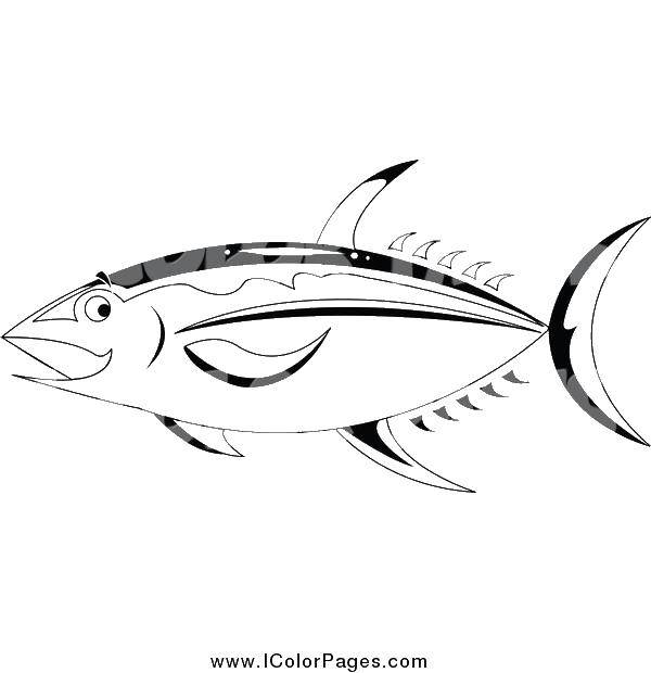 Online coloring pages coloring page tuna coloring coloring pages for kids