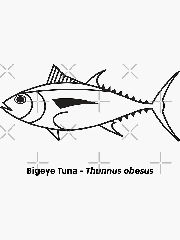 Cute bigeye tuna fish in black and white sticker for sale by fruttidimare