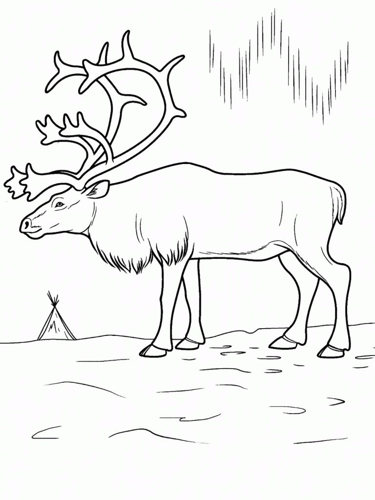 Tundra coloring pages