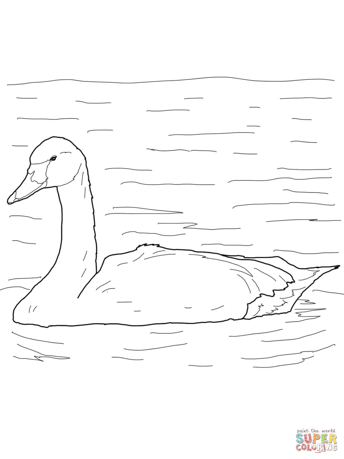 Tundra swan arctic bird coloring page free printable coloring pages