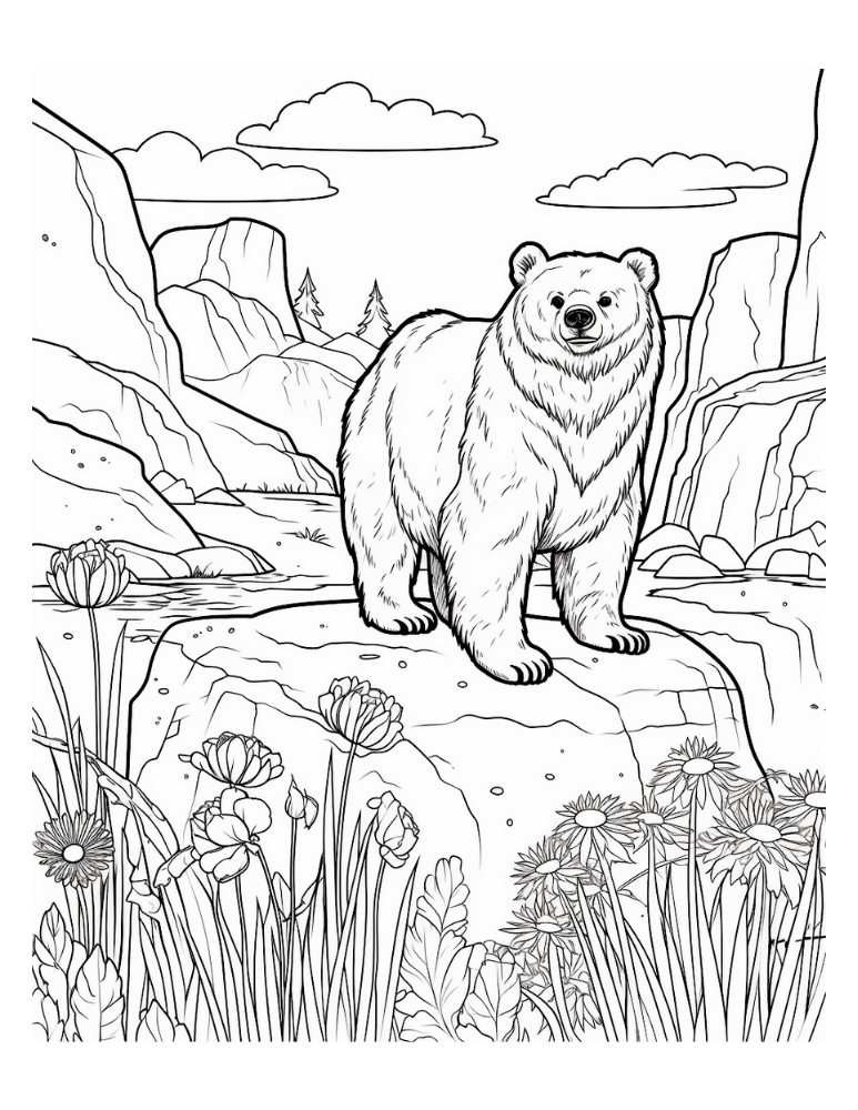 Free bear coloring pages for kids and adults