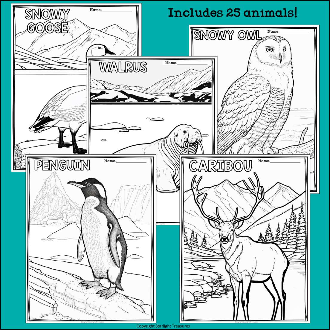 Arctic animals research posters coloring pages