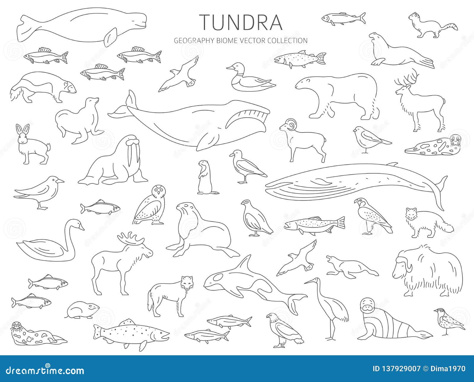 Tundra biome simple line style terrestrial ecosystem world map stock vector