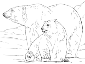 Tundra animals coloring pages free printable pictures
