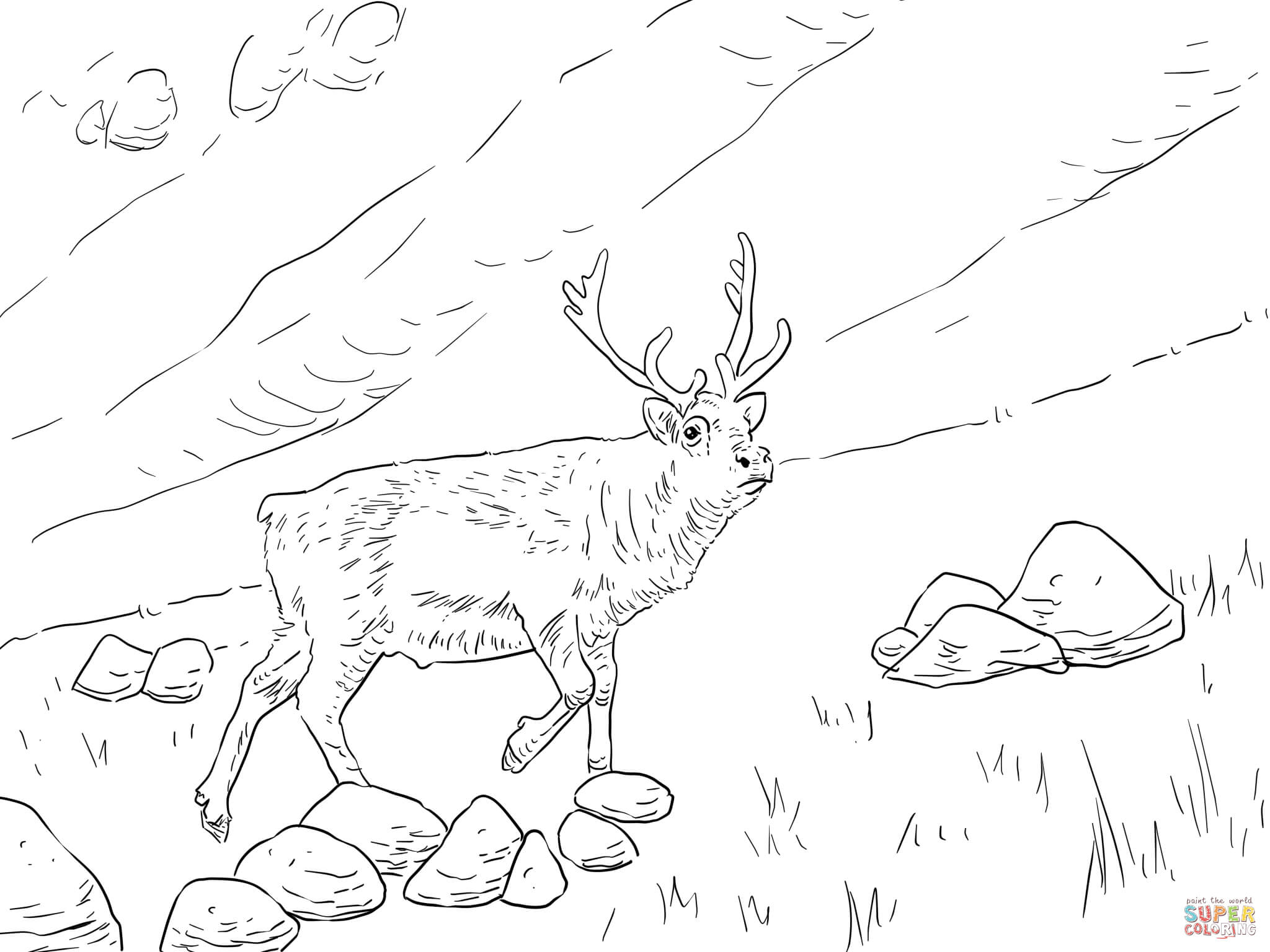 Svalbard reindeer coloring page free printable coloring pages