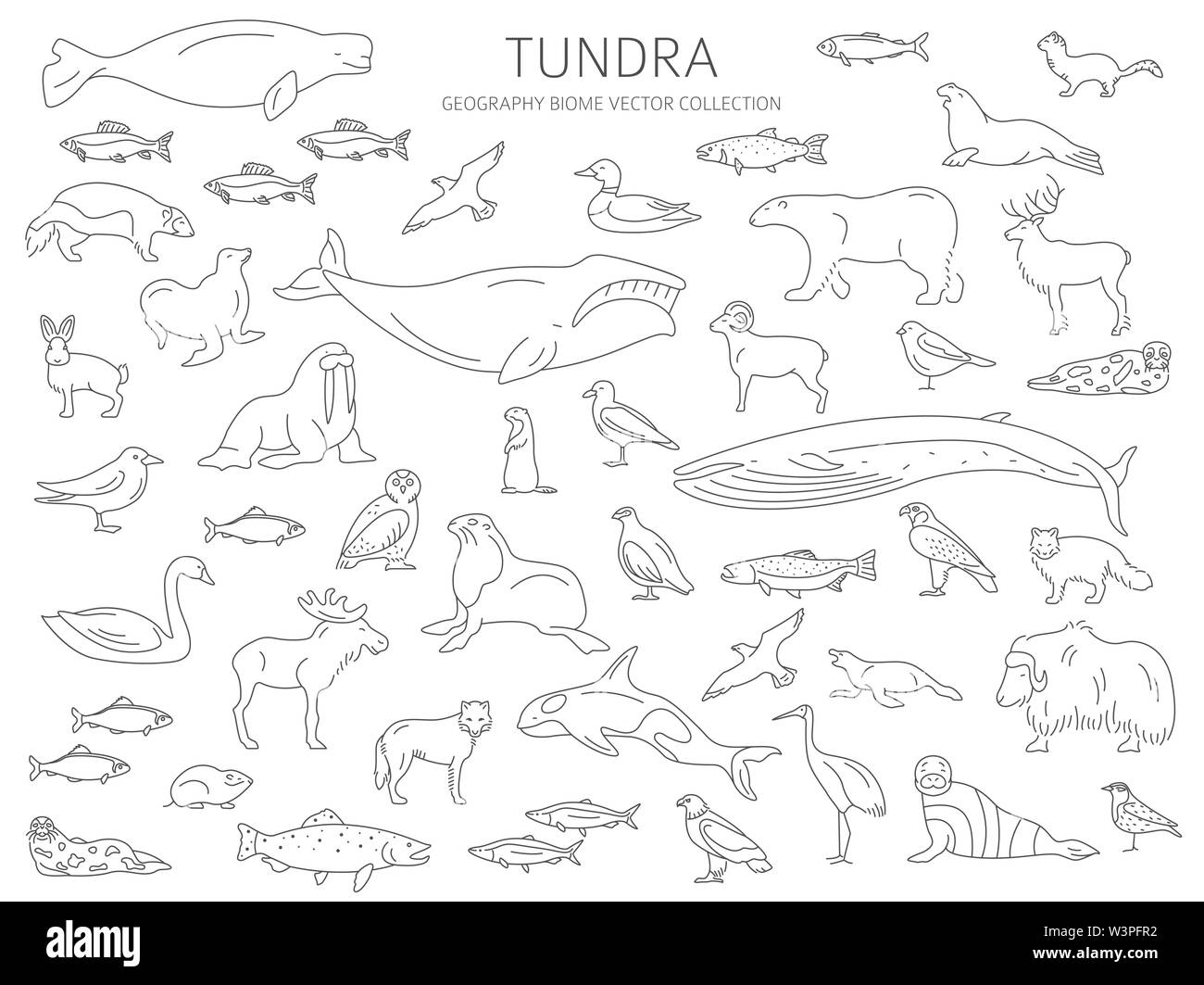 Ecosystem illustration black and white stock photos images