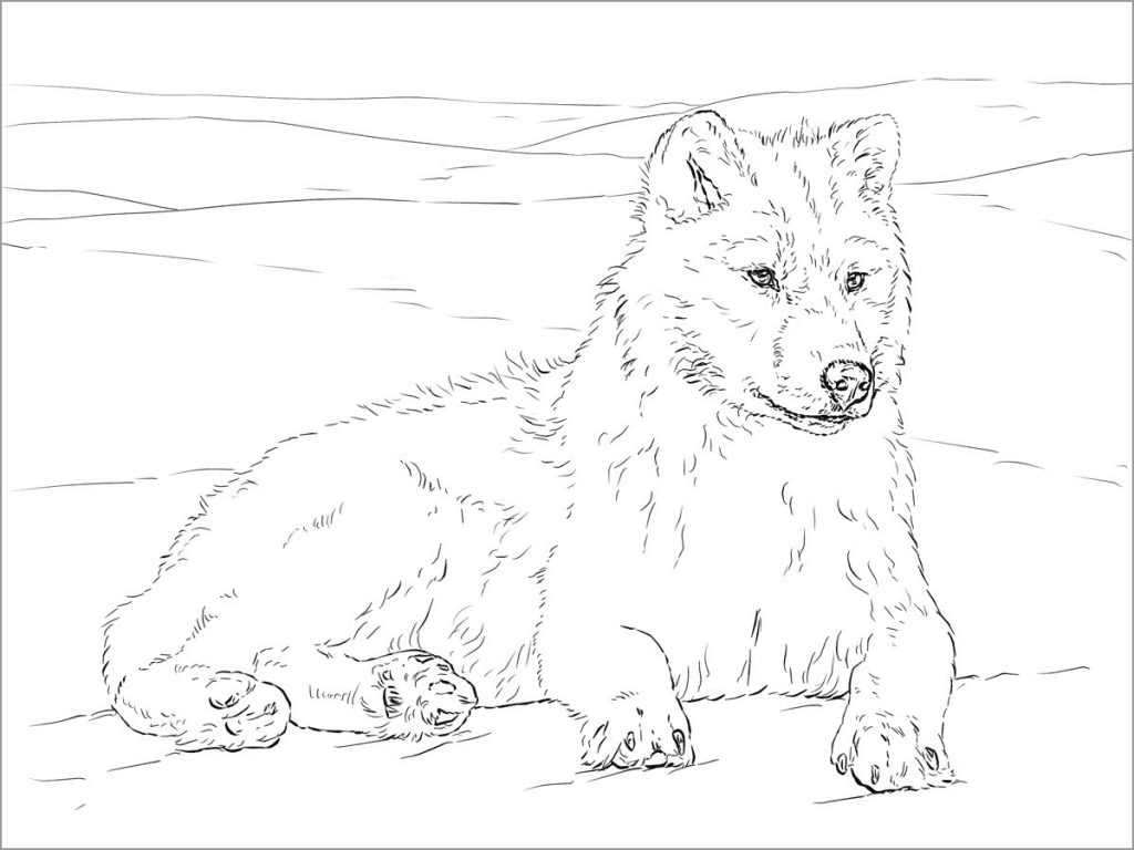 Tundra coloring pages