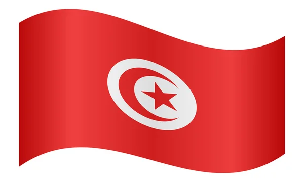 Tunisia flag stock photos royalty free tunisia flag images