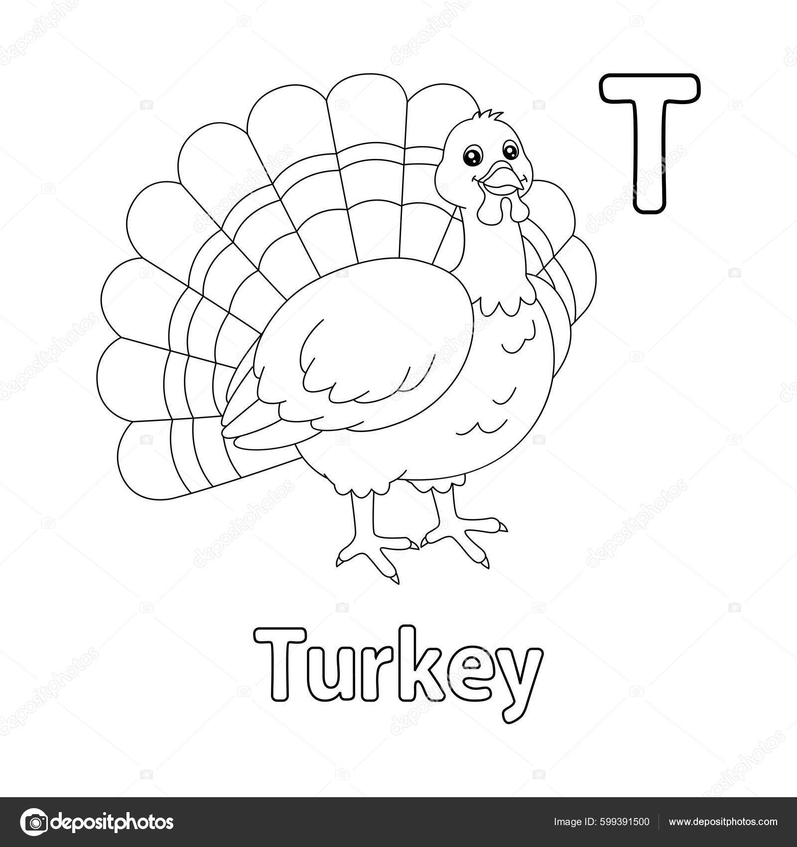 Abc vector image shows turkey coloring page isolated white background vektor av abbydesign
