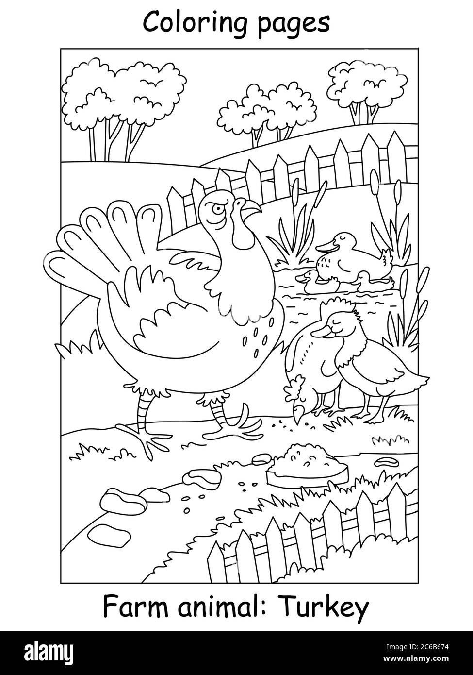 Vector coloring pages with funny angry turkey walking on the farm cartoon contour illustration isolated on white background stock illustration for c stock vector image art
