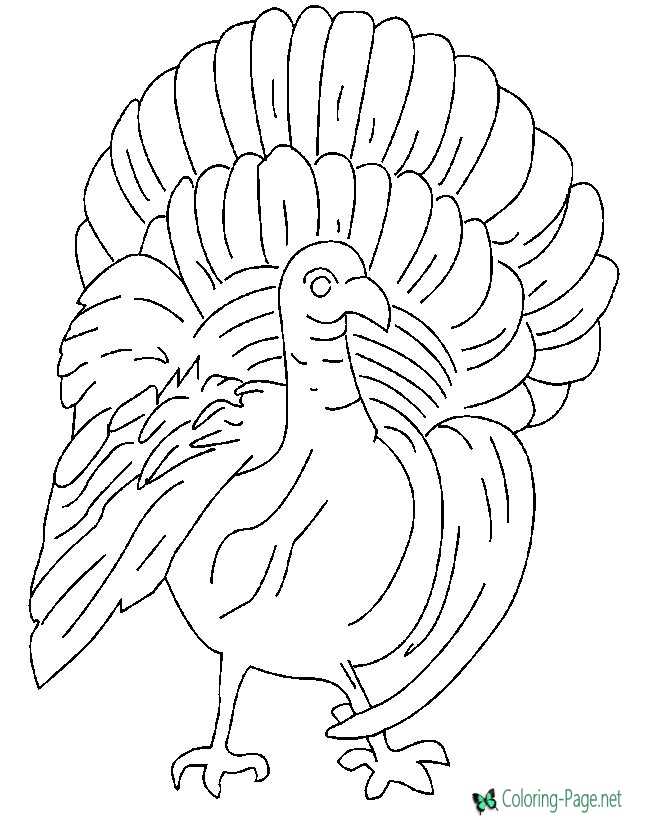 Turkey coloring pages