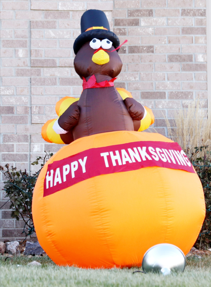 Kindergartners make sure these turkeys wont end up on the menu northeast nebraska news