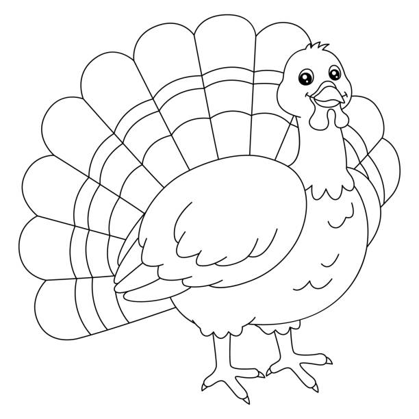Turkey feathers coloring pages drawing stock illustrations royalty