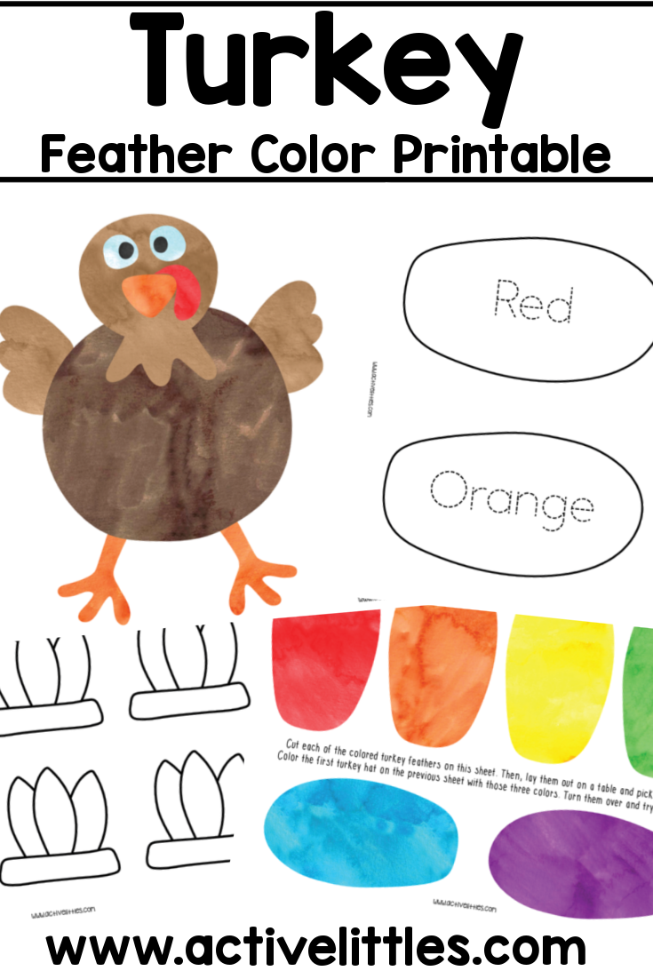 Turkey feather color printable