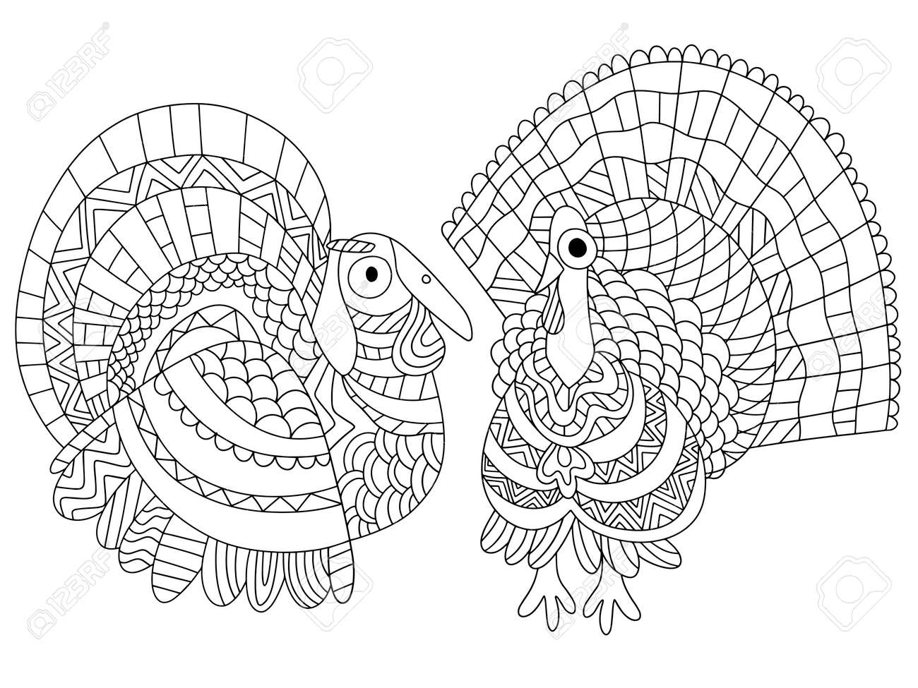 Two funny turkey bird coloring page stock vector illustration american fall traditional holiday coloring for kids and adults detailed turkeys with ornamental tails wings and feather one of a serie royalty free