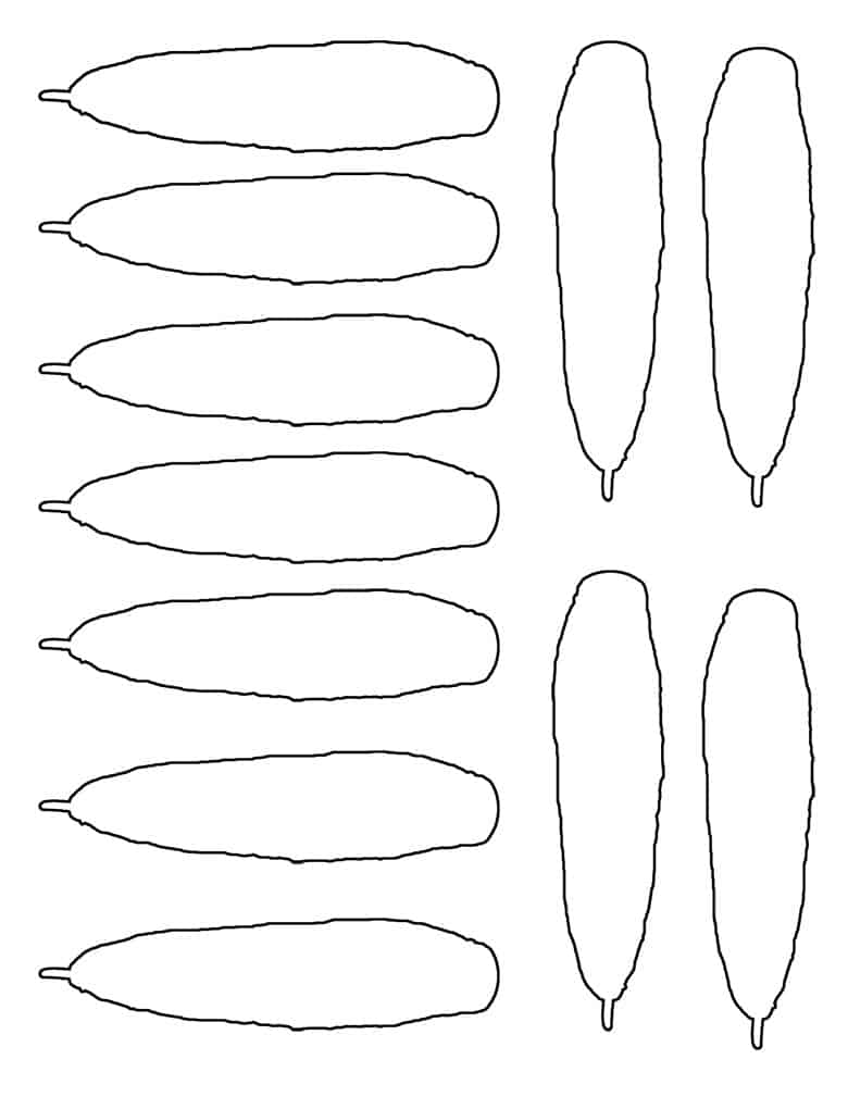 Free turkey feather template and body craft