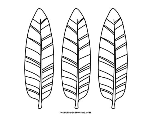 Turkey feather template free printables