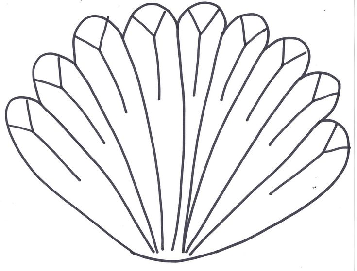 Primarily singing turkey feathers feather template coloring pages