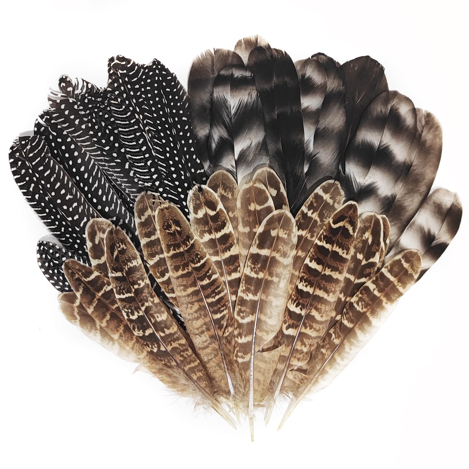 Natural turkey spotted feathers pcs pheasant feathers for crafts diy hat floral arrangements wing quill wedding home party decorations