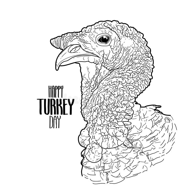 Vector turkey head stock vector illustration of adult