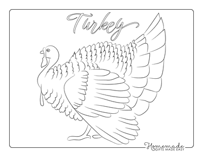 Free printable turkey coloring pages for kids