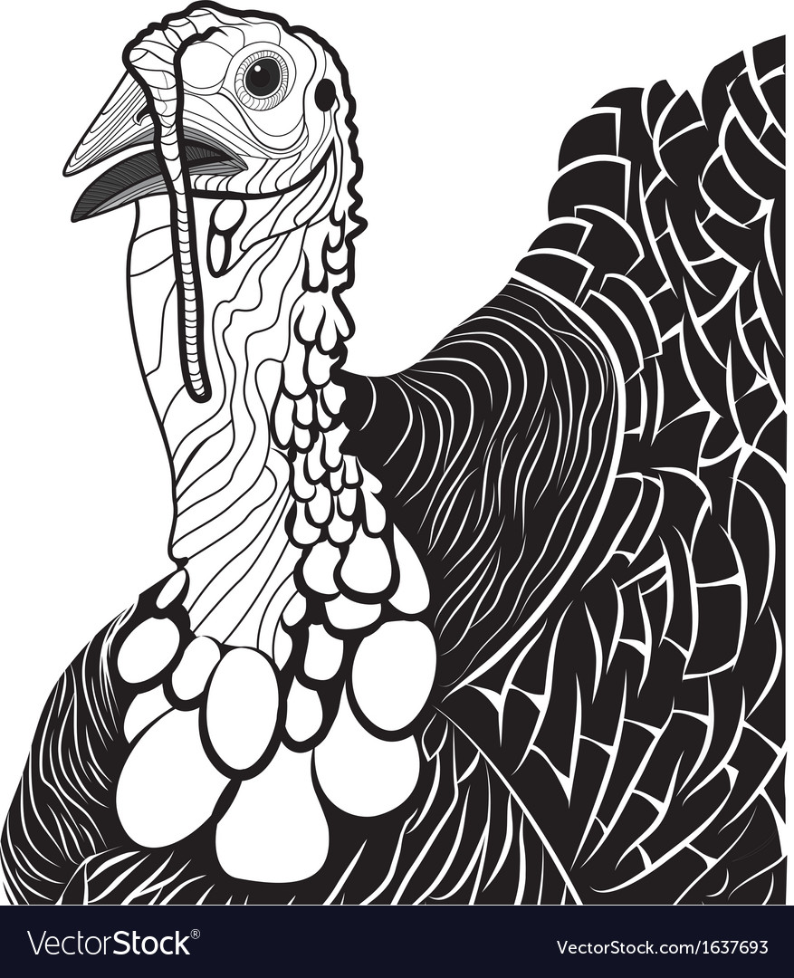 Turkey bird head as thanksgiving symbol royalty free vector