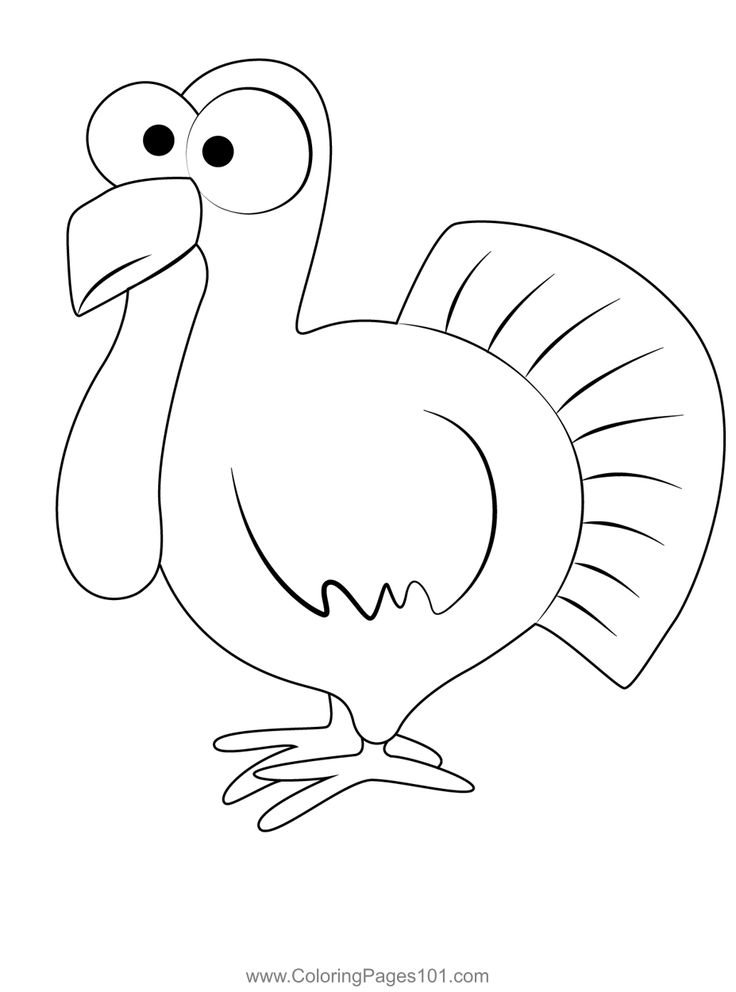 Beautiful turkey coloring page in turkey coloring pages coloring pages printable coloring