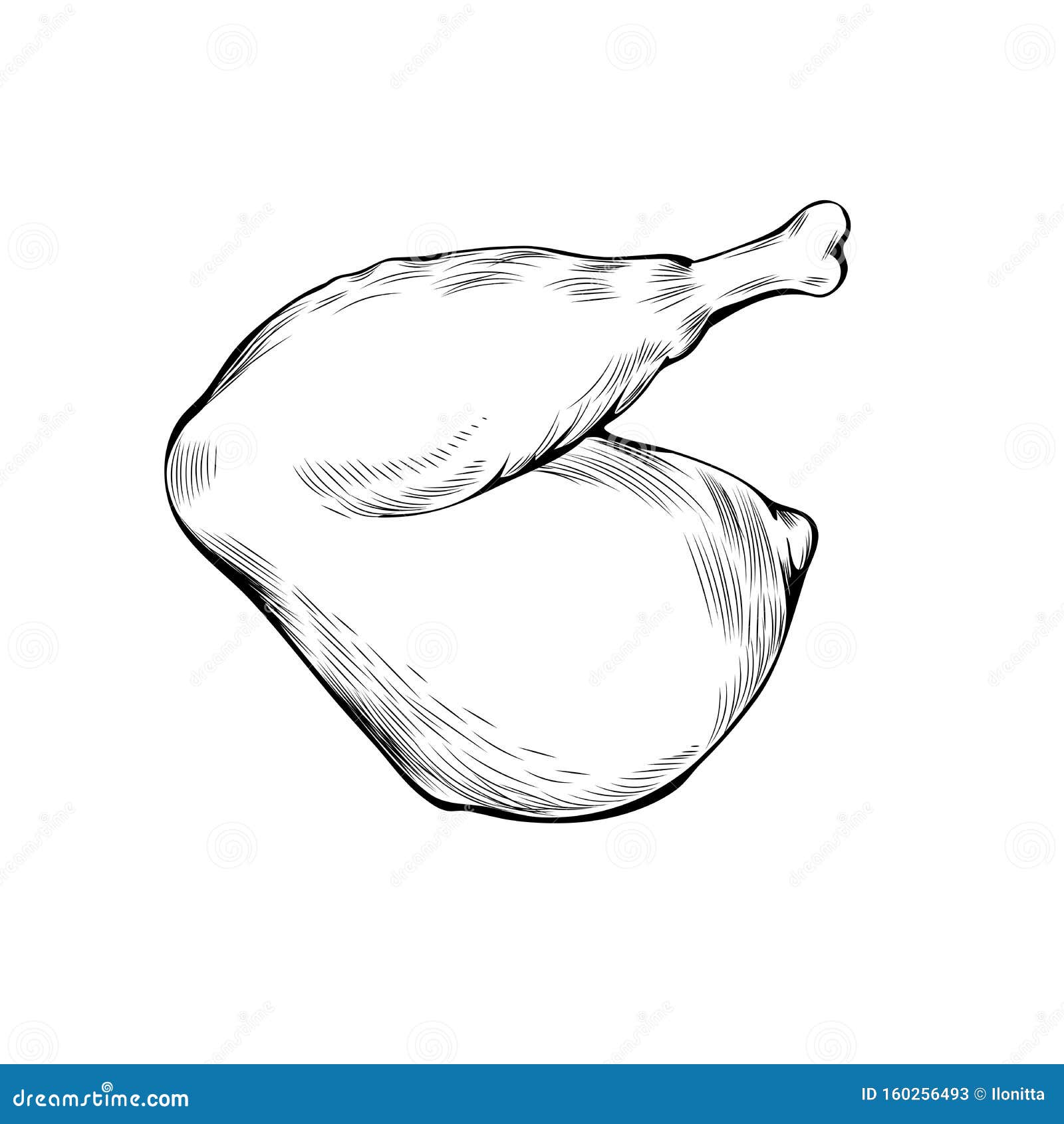 Chicken leg coloring book vector illustration stock vector