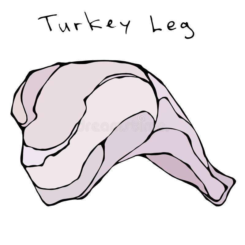 Raw turkey leg realistic vector illustration isolated hand drawn doodle or cartoon style sketch fresh fowl meat stock vector