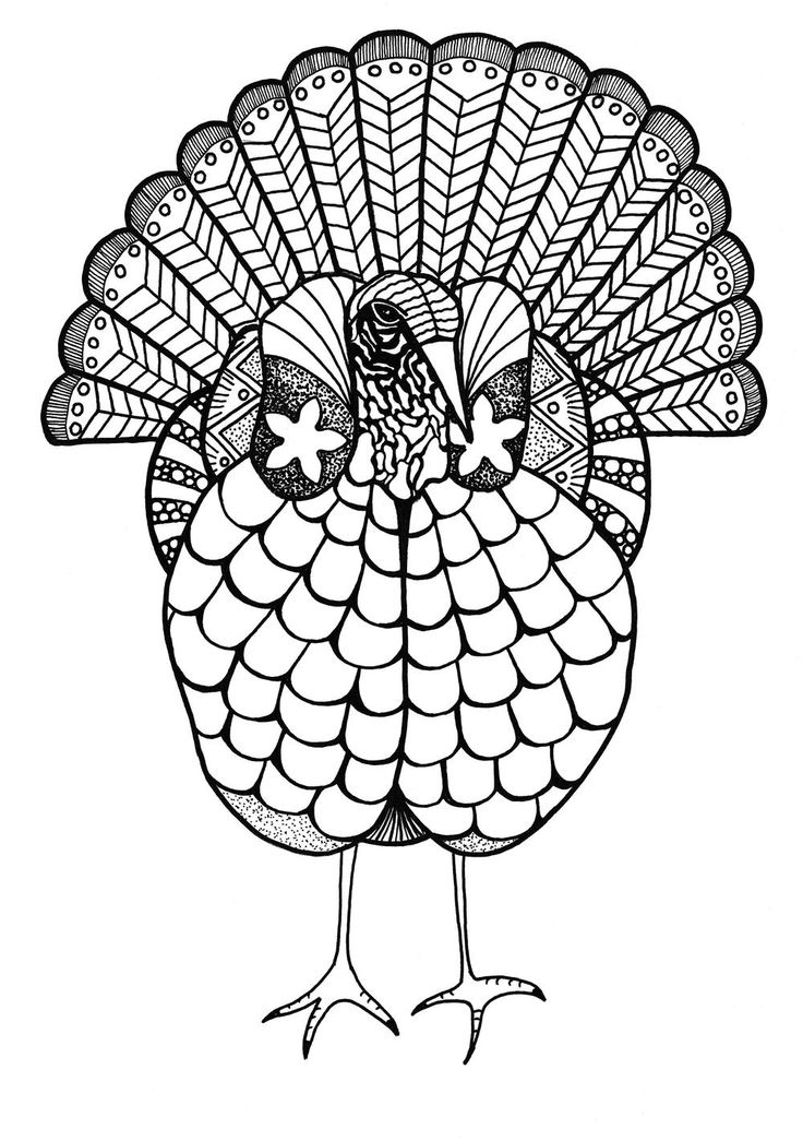 Colorful turkey adult coloring page turkey coloring pages adult coloring pages animal coloring pages