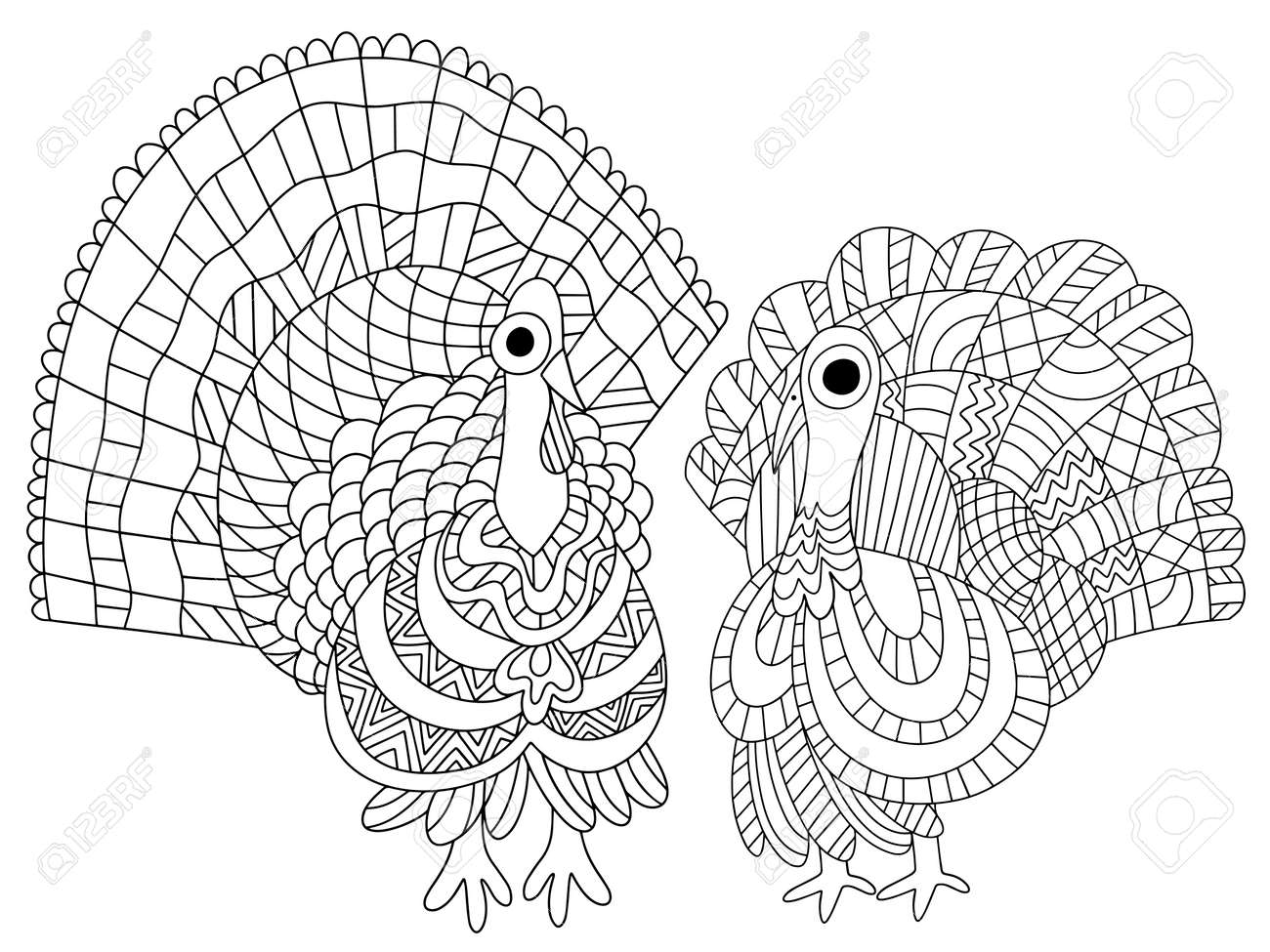 Two turkey birds vector coloring page for thanksgiving day funny simple cartoon alive thanksgiving turkeys detailed fall season holiday coloring for kids and adults royalty free svg cliparts vectors and stock illustration
