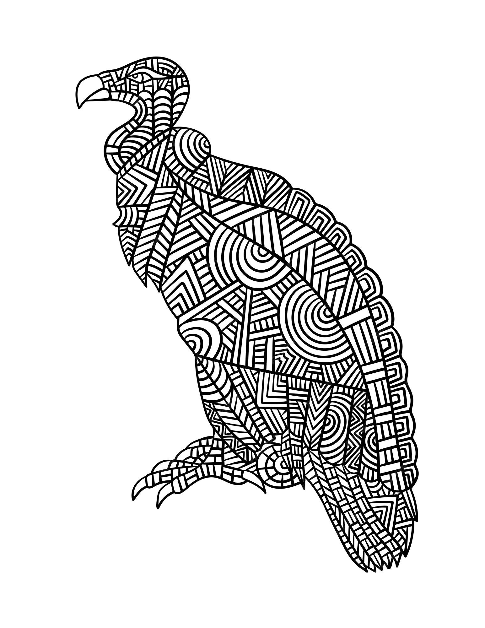 Premium vector hooded vulture mandala coloring pages for adults