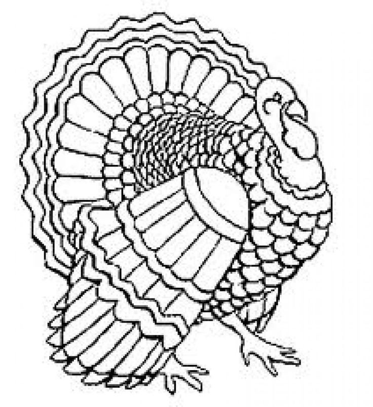 Mandala ideas turkey drawing mandala turkey coloring pages