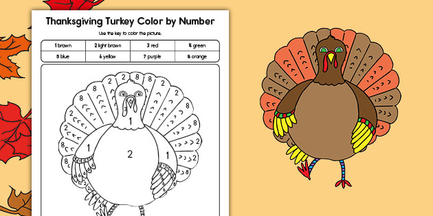 Turkey lor by number activity for kids usa