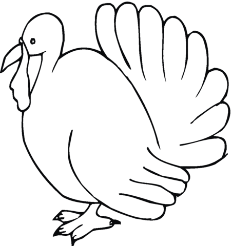 Turkey outline coloring page free printable coloring pages