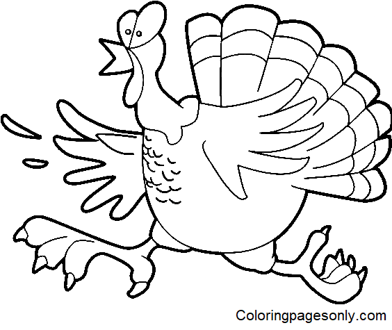 Turkey coloring pages printable for free download