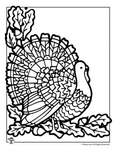 Printable thanksgiving activity pages and coloring pages woo jr kids activities childrens publishing