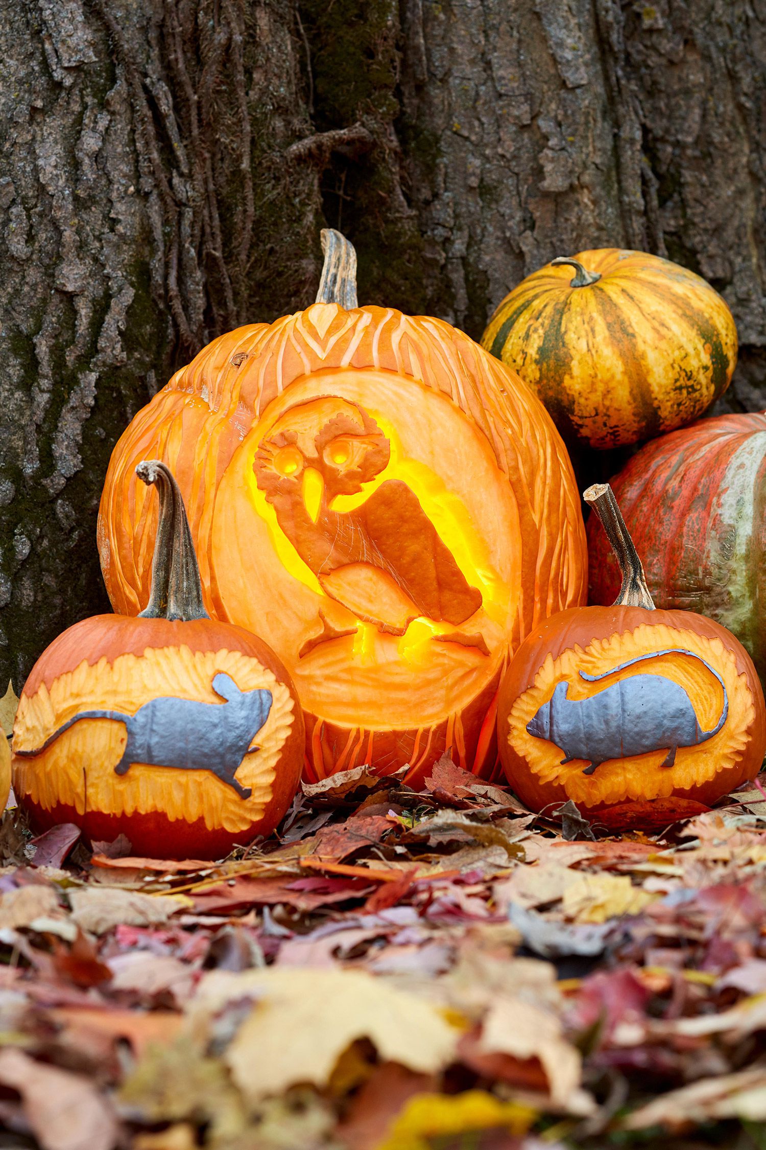 Free printable fall