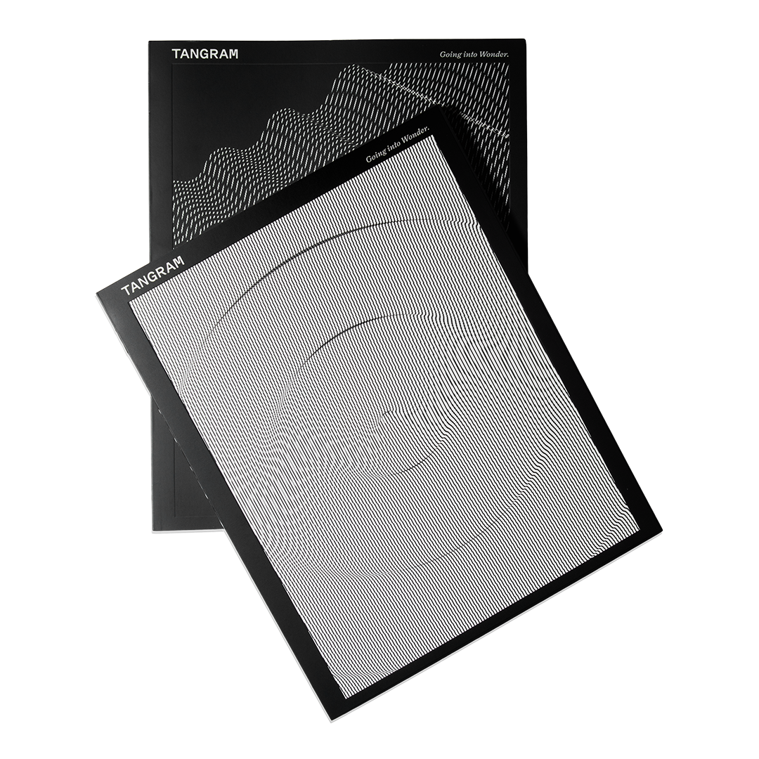 Tangram vol