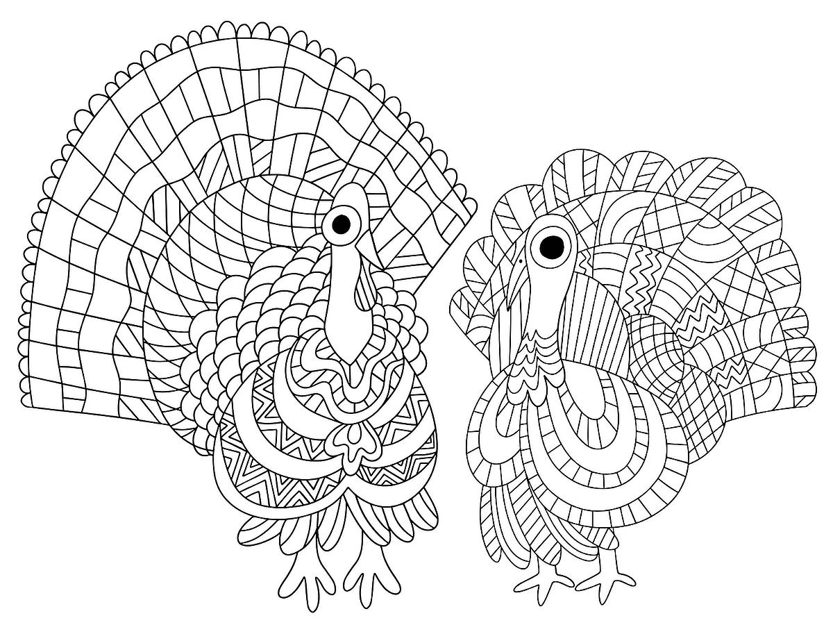 Turkey coloring pages free fun printable coloring activity pages of turkeys for thanksgiving printables mom