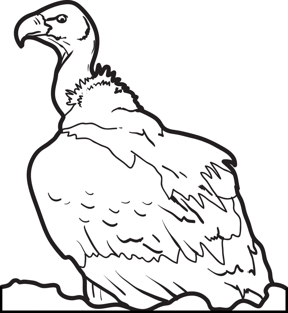 Printable vulture coloring page for kids â