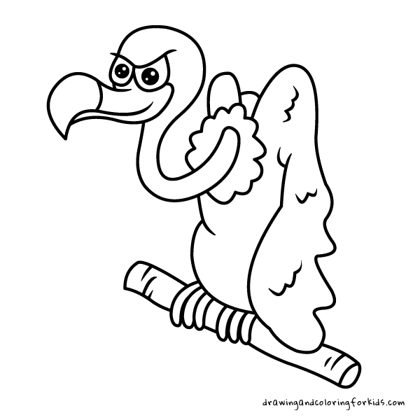 Drawing birds for kids coloring pages birds drawing penguin falcon flamingo turkey