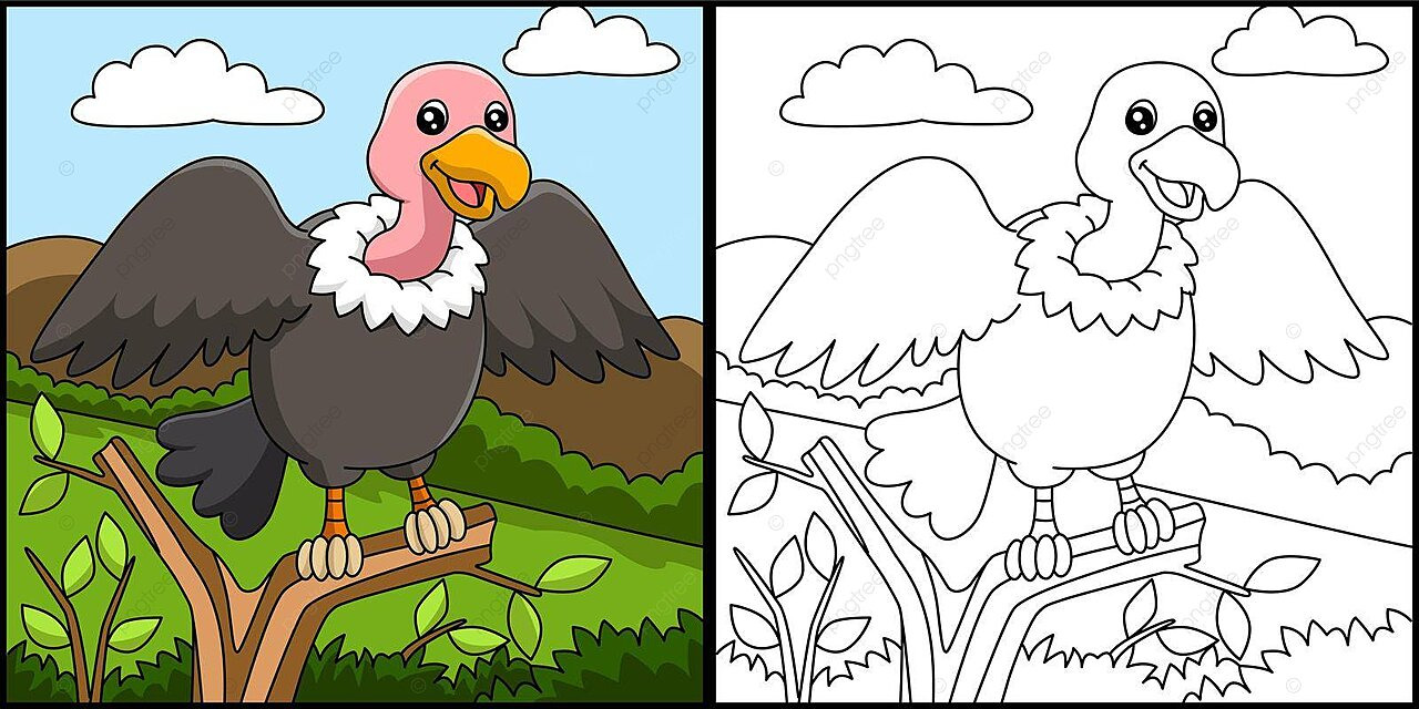 Vulture coloring page vector illustration zoo image filled color vector zoo image filled color png and vector with transparent background for free download
